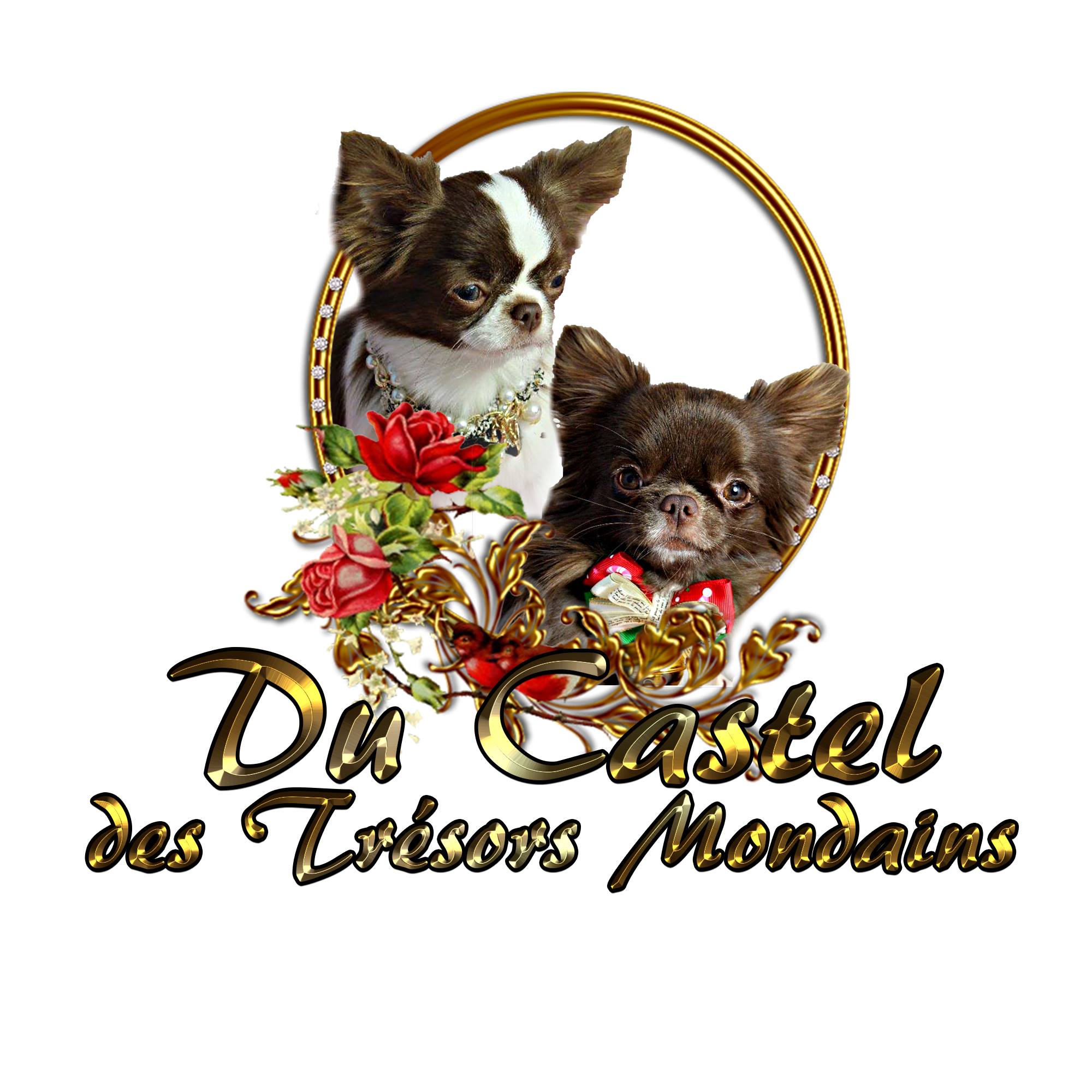 Du Castel Des Trésors Mondains
